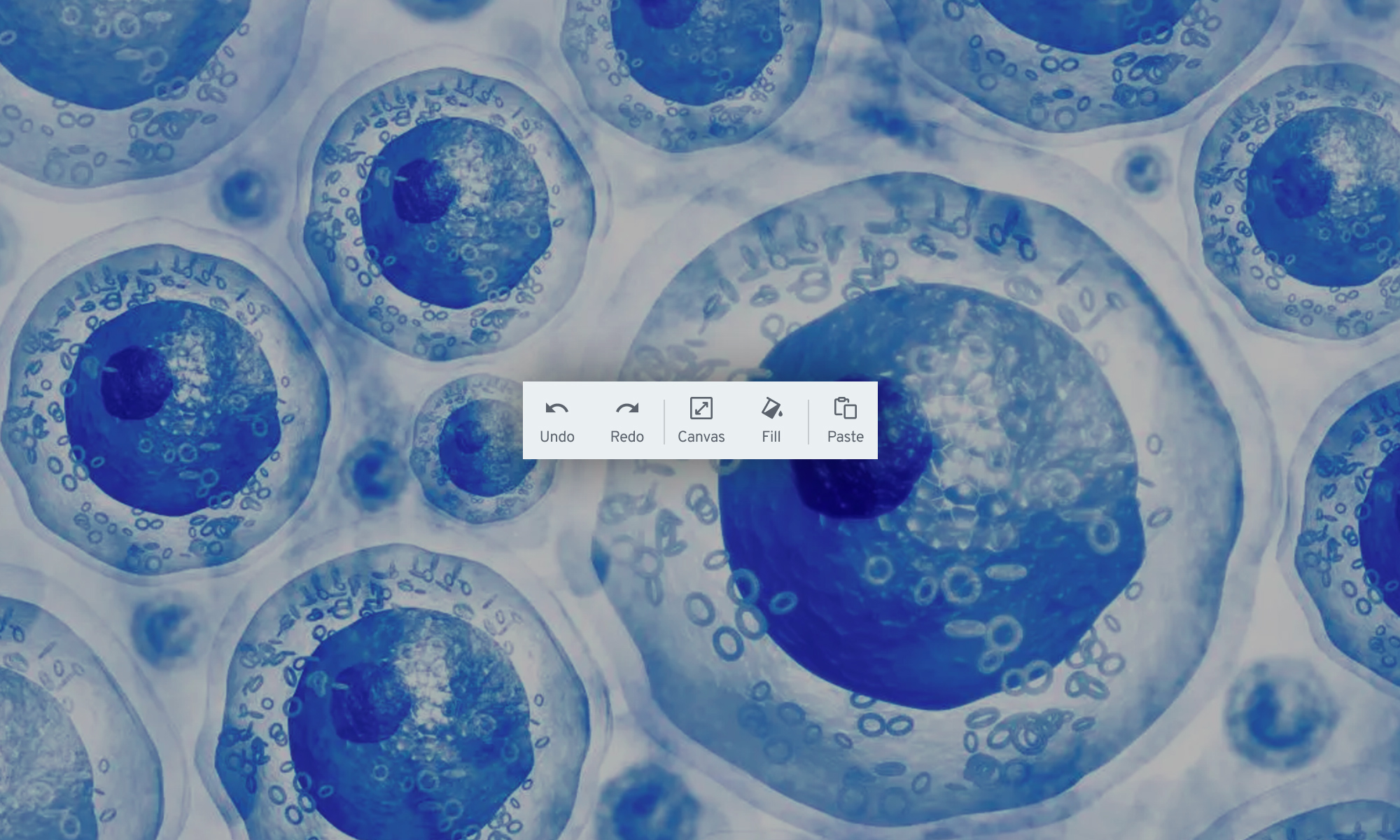 BioRender: Empowering Researchers To Create Professional Science ...